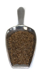 klein kuemmel-zweijaehrig