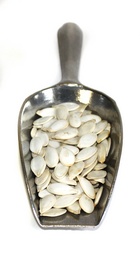 klein kuerbiskerne in der schale-snowwhite