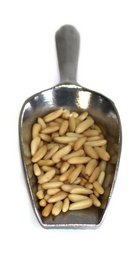 klein pinienkerne-pakistan