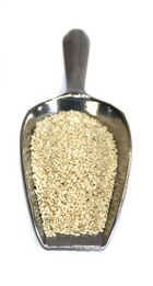 klein sesam-geschaelt