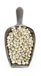 klein weisse bohnen-klein