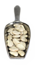 klein weisse riesenbohnen